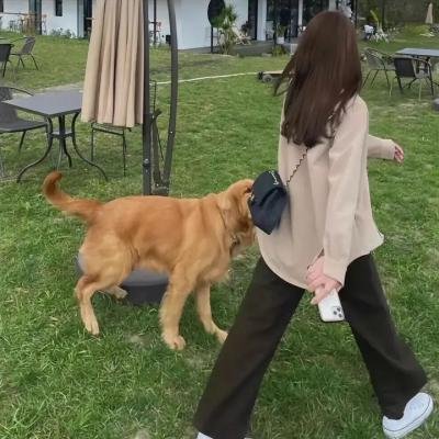 理查德·普赖尔:忽略逻辑